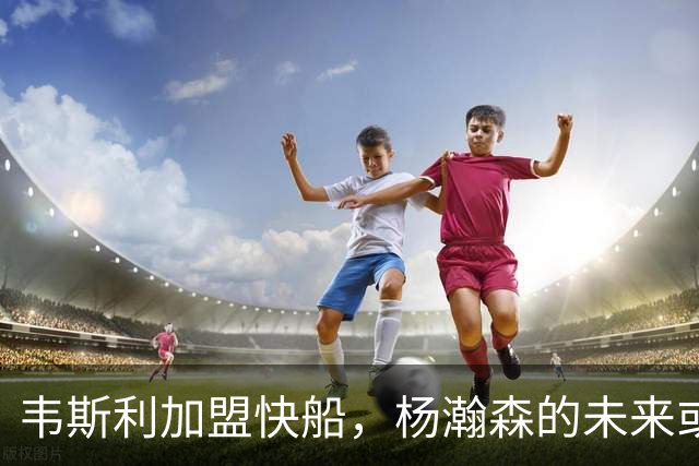 韦斯利加盟快船，杨瀚森的未来或将在今夏揭晓
